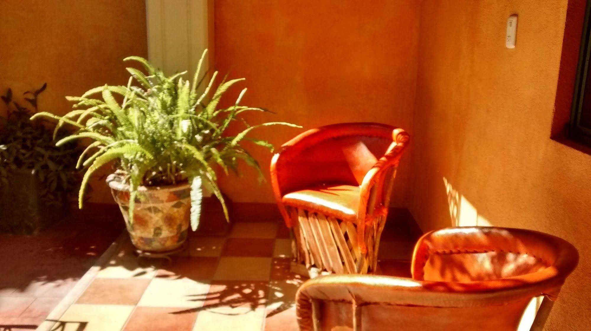 Casa Lidia Hotel Oaxaca Bagian luar foto
